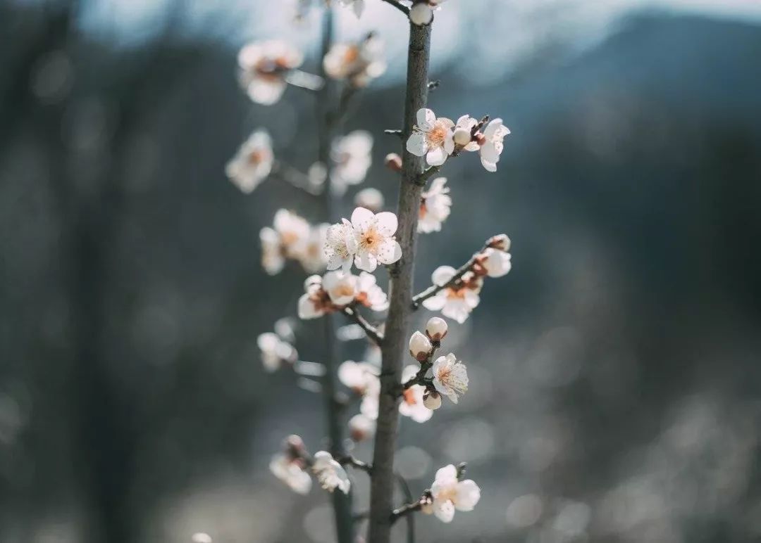 微信圖片_20190403105229.jpg 微信圖片_20190403105229.jpg